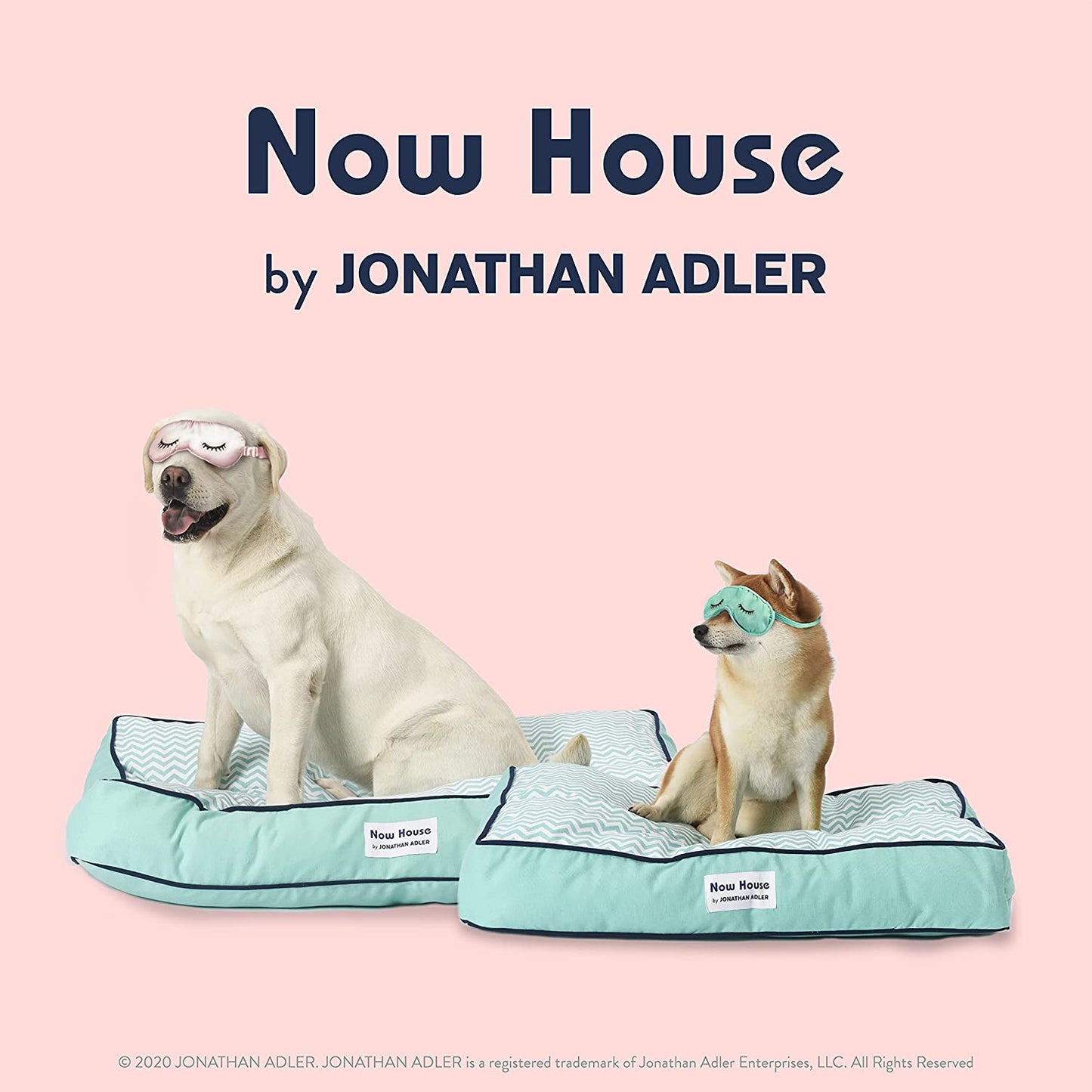 Now House for Pets Teal Chevron Cushion Dog Bed, Medium, 30.0"L X 20.0"W X 5.0"Th, Cotton/Poly Blend, Removable Cover, Machine Washable
